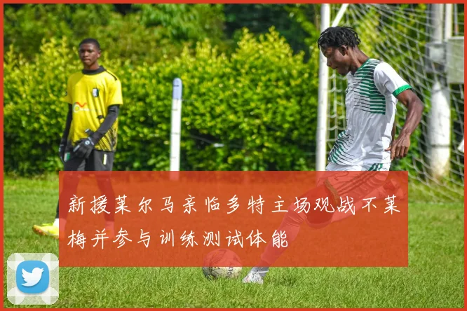 新援莱尔马亲临多特主场观战不莱梅并参与训练测试体能
