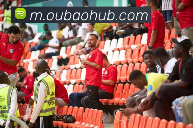 欧宝体育平台生态图